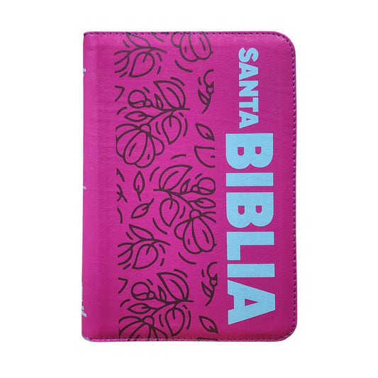 Biblia RVR065LGZ PJR Fucsia Canto Aguamarina