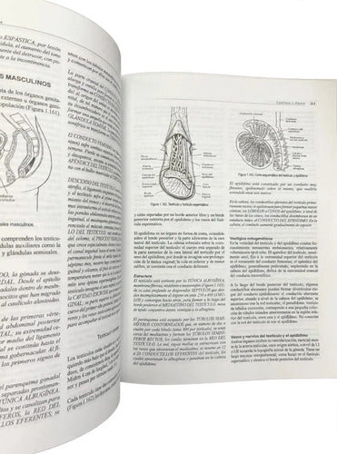 Portada de Anatomía Humana Funcional Y Clínica