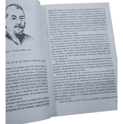 Portada de Reiki: La Curacion por Imposicion de Manos