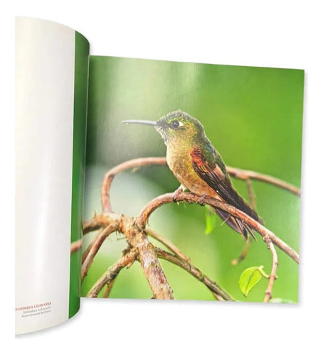 Portada de El pais de las aves colombia