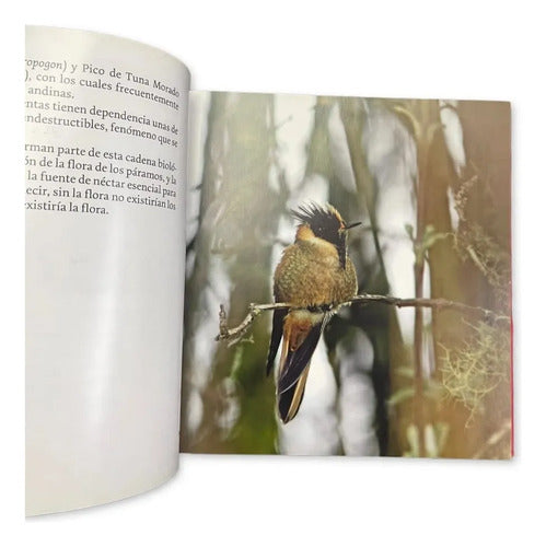 Portada de El pais de las aves colombia